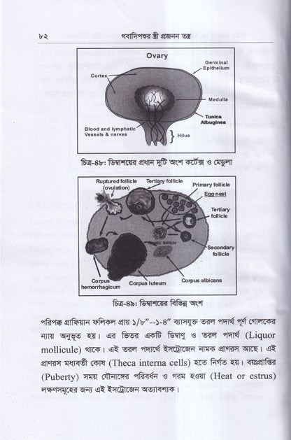 কৃত্রিম প্রজনন ( এ.আই) ও গবাদিপশুর প্রজনন রোগব্যাধির চিকিৎসা