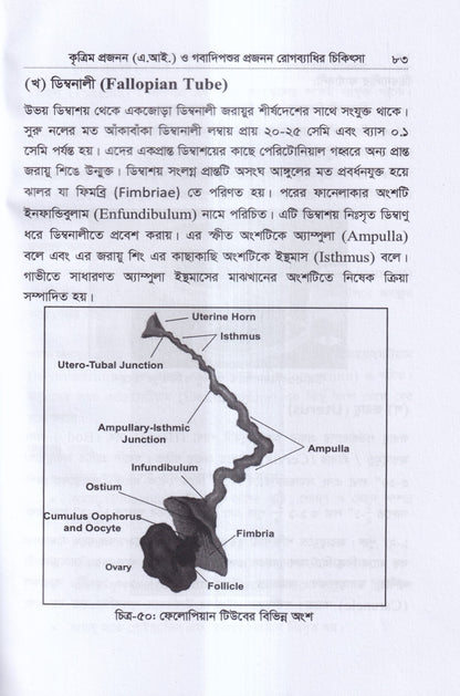 কৃত্রিম প্রজনন ( এ.আই) ও গবাদিপশুর প্রজনন রোগব্যাধির চিকিৎসা