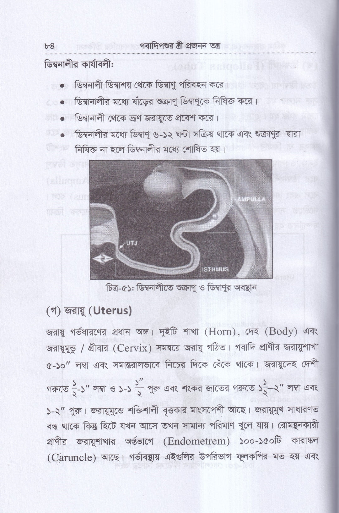 কৃত্রিম প্রজনন ( এ.আই) ও গবাদিপশুর প্রজনন রোগব্যাধির চিকিৎসা