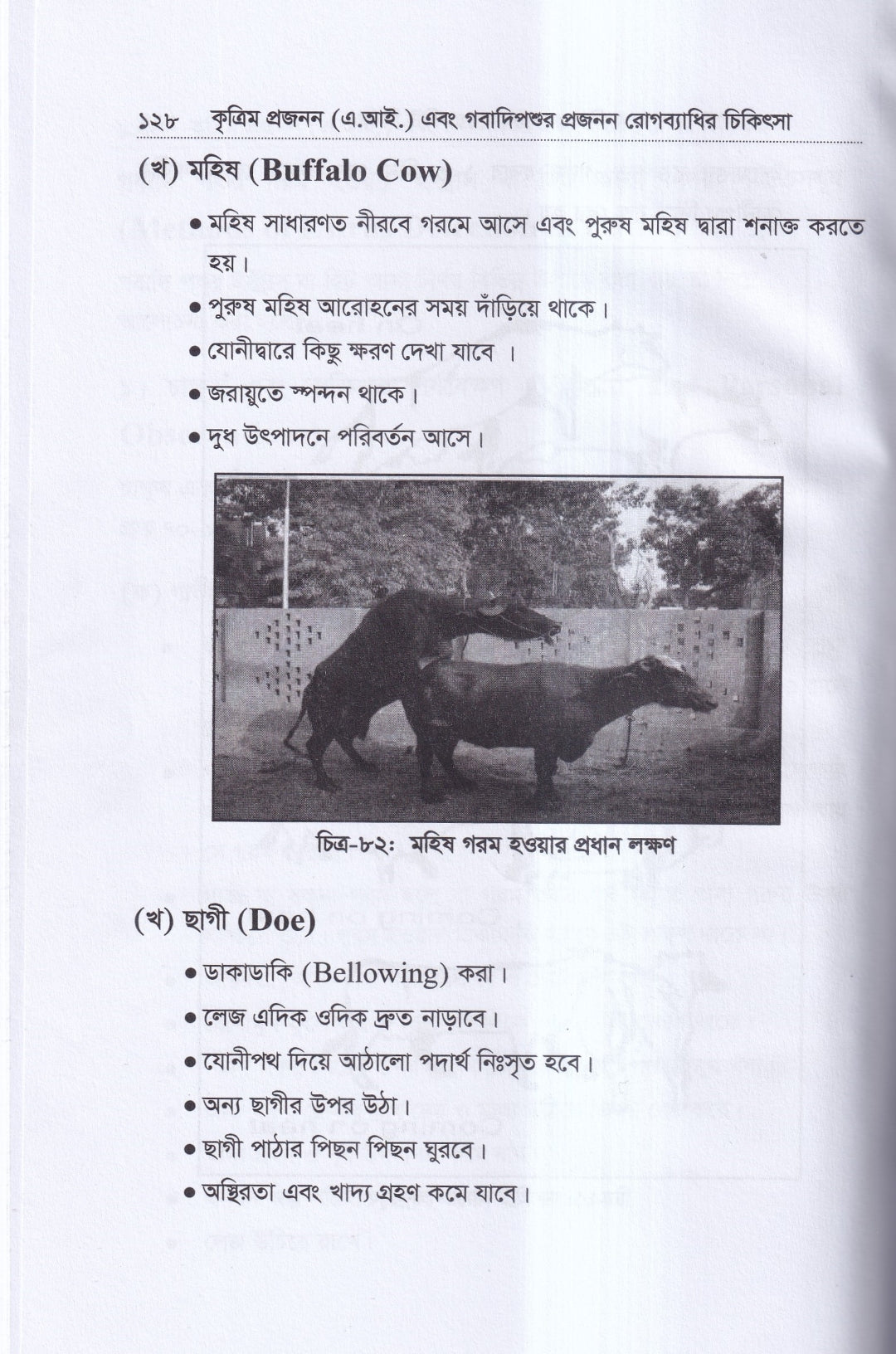 কৃত্রিম প্রজনন ( এ.আই) ও গবাদিপশুর প্রজনন রোগব্যাধির চিকিৎসা