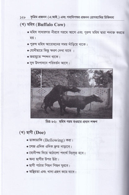 কৃত্রিম প্রজনন ( এ.আই) ও গবাদিপশুর প্রজনন রোগব্যাধির চিকিৎসা