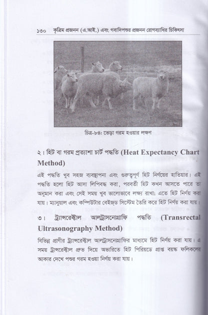 কৃত্রিম প্রজনন ( এ.আই) ও গবাদিপশুর প্রজনন রোগব্যাধির চিকিৎসা