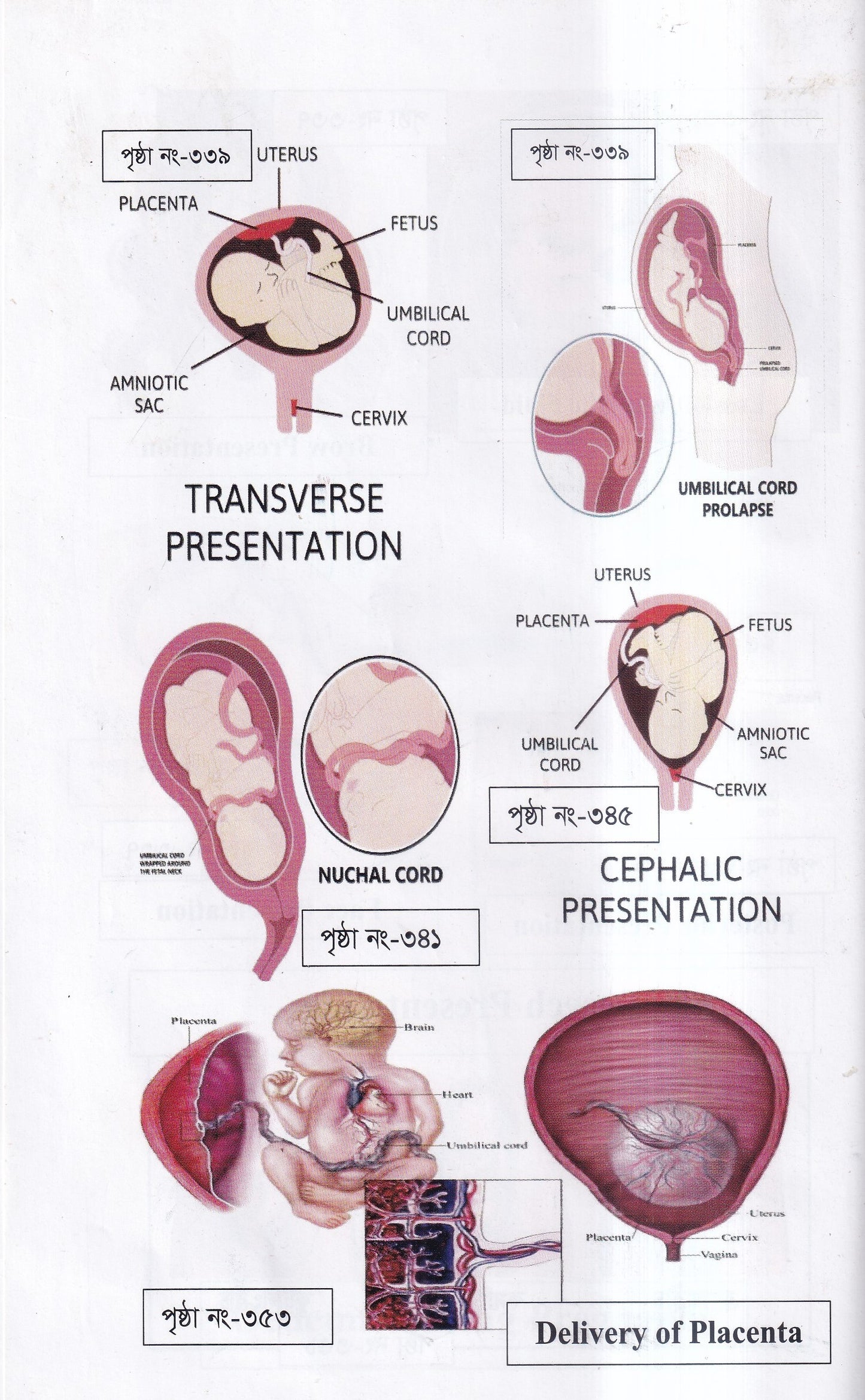 দ্যা হ্যান্ড বুক অফ গাইনী ডিজিজ (The Hand Book of Gynae Disease)