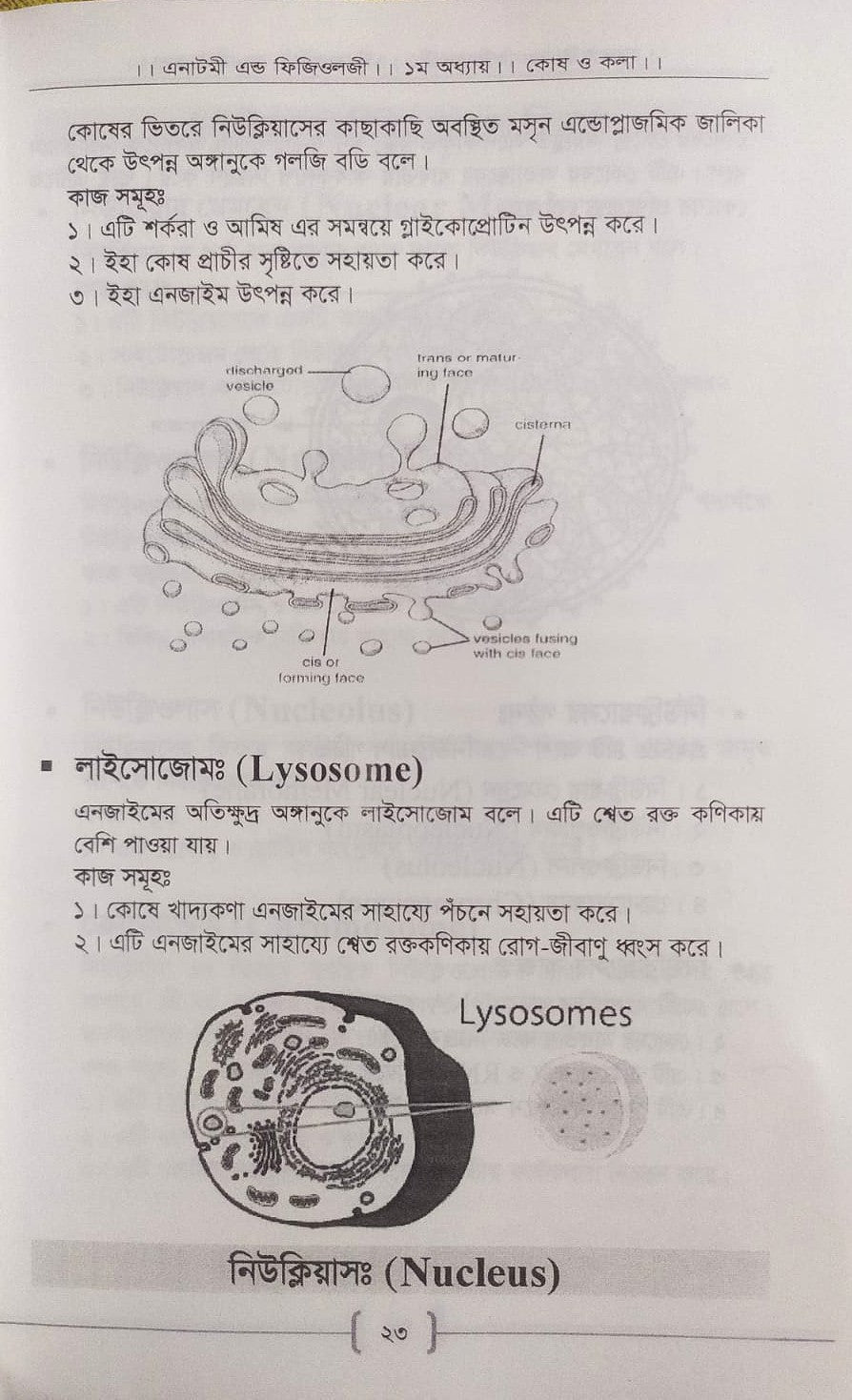 প্যারামেডিক্স