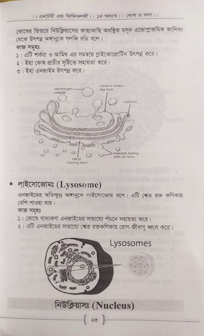 প্যারামেডিক্স