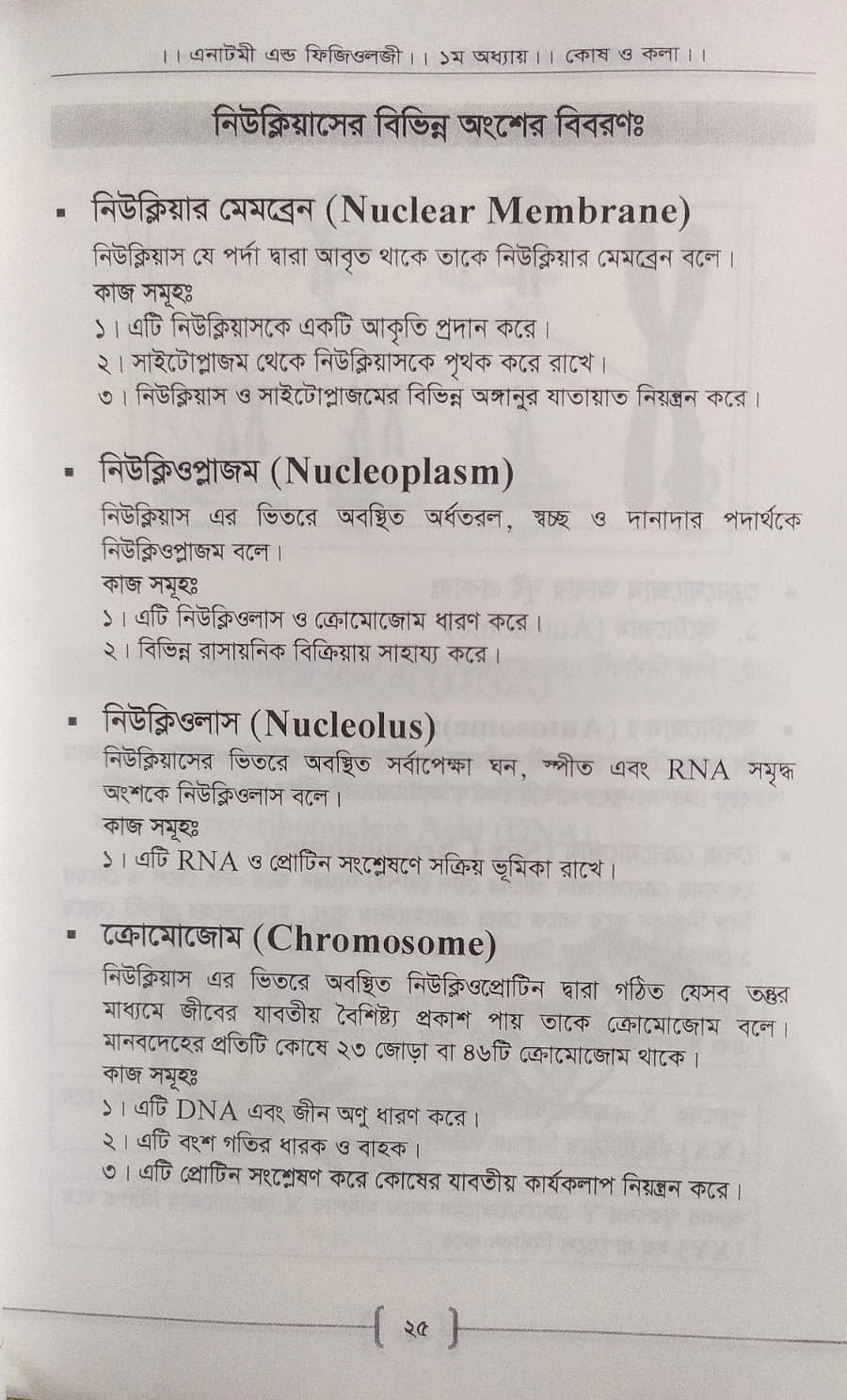 প্যারামেডিক্স