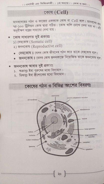 প্যারামেডিক্স