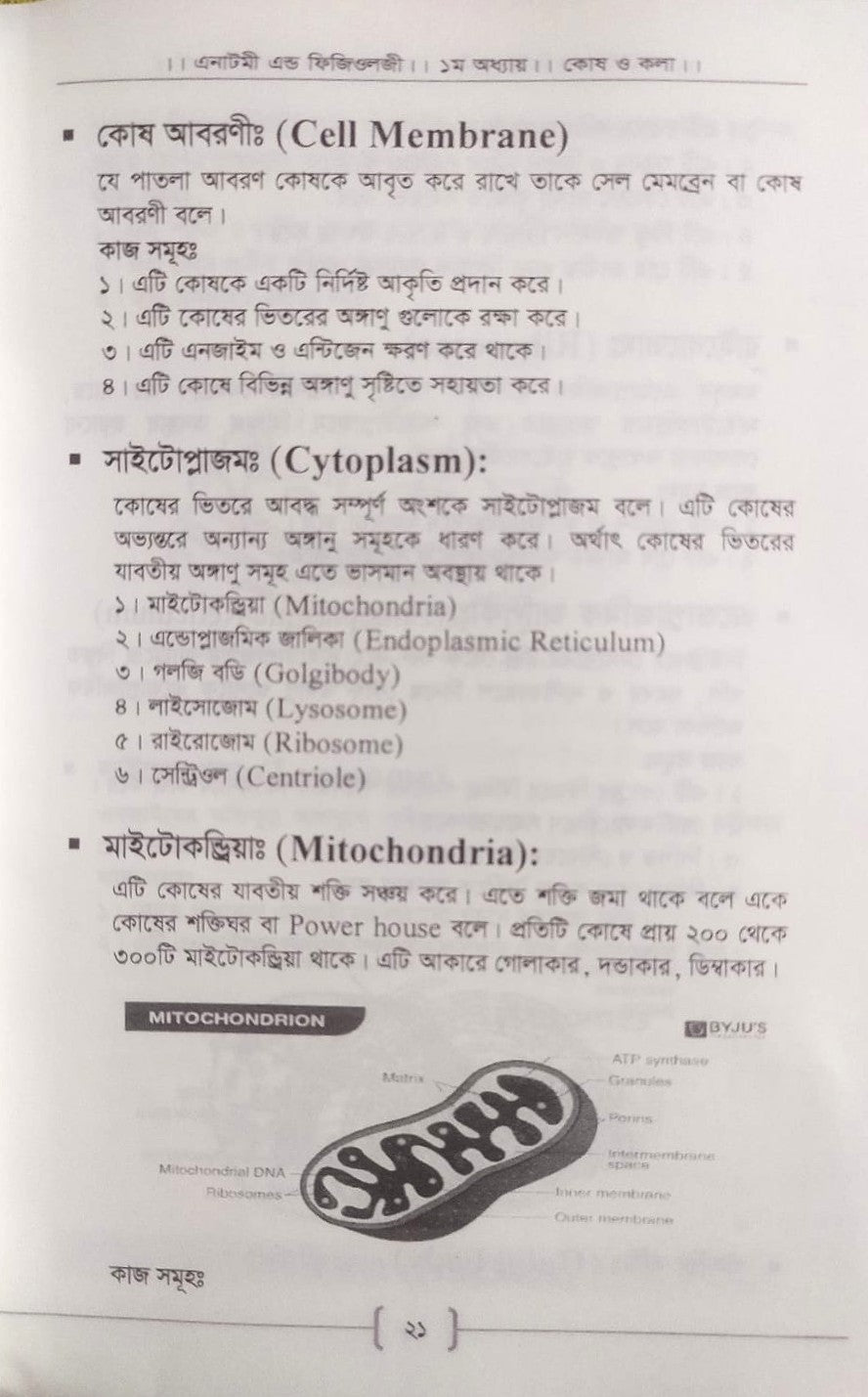 প্যারামেডিক্স