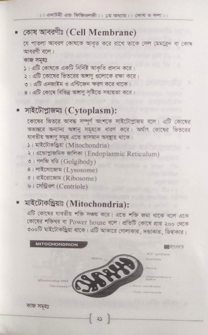 প্যারামেডিক্স