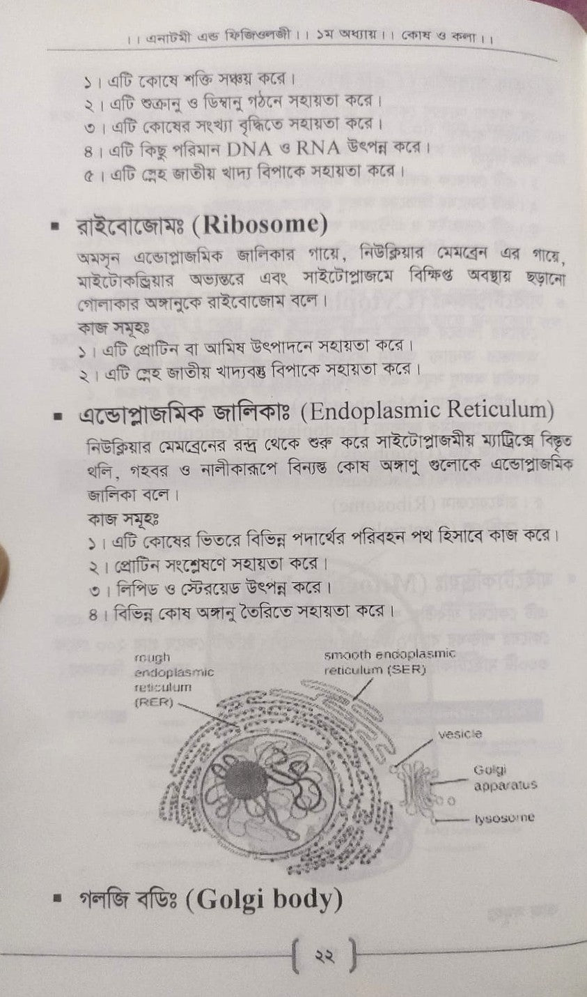 প্যারামেডিক্স