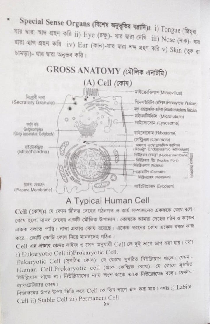 পল্লী ও ডিপ্লোমা এনাটমী এন্ড ফিজিওলজি