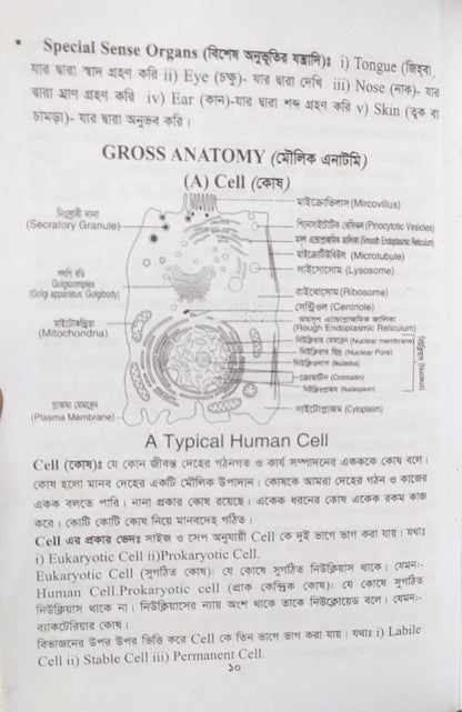 পল্লী ও ডিপ্লোমা এনাটমী এন্ড ফিজিওলজি