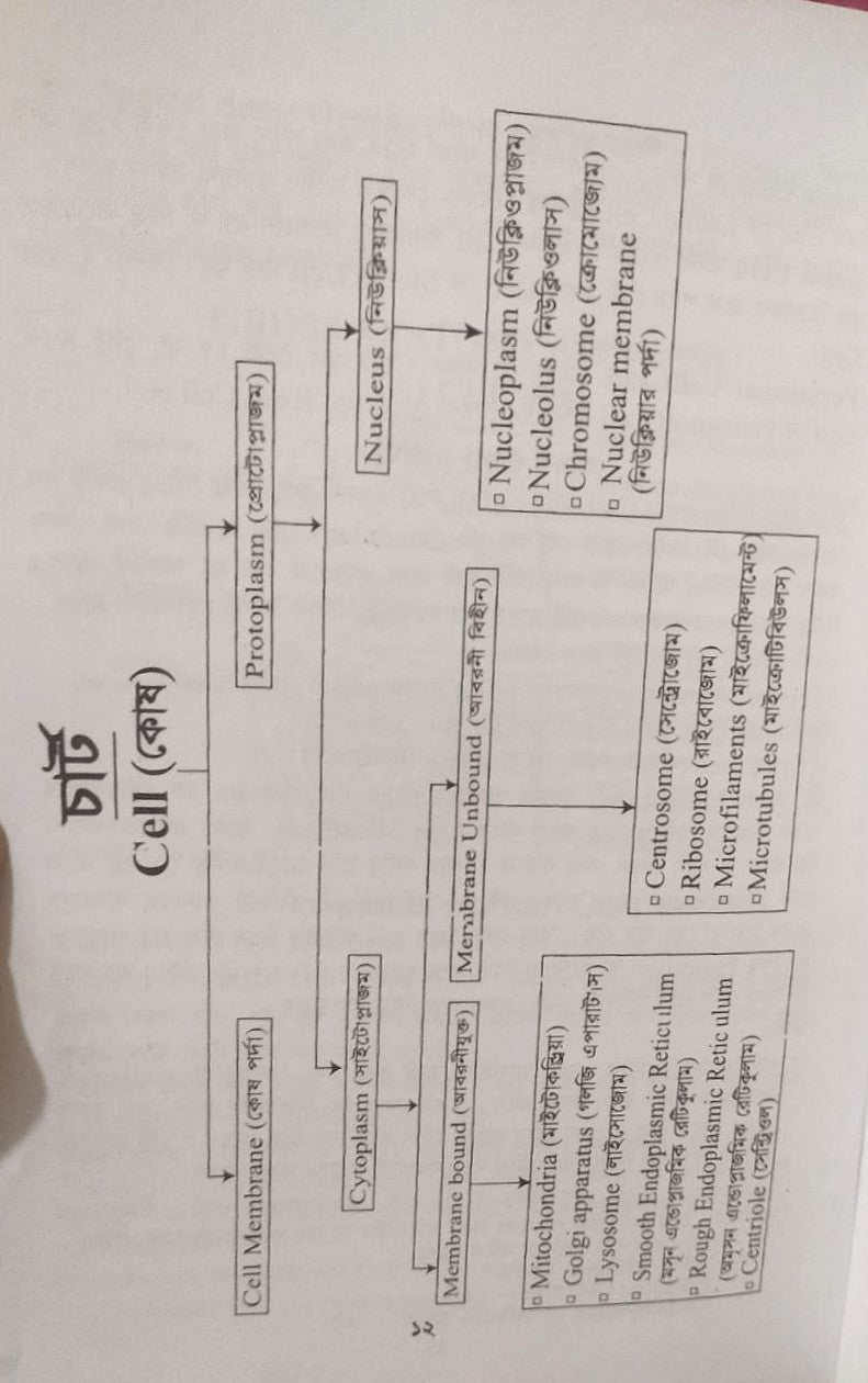 পল্লী ও ডিপ্লোমা এনাটমী এন্ড ফিজিওলজি