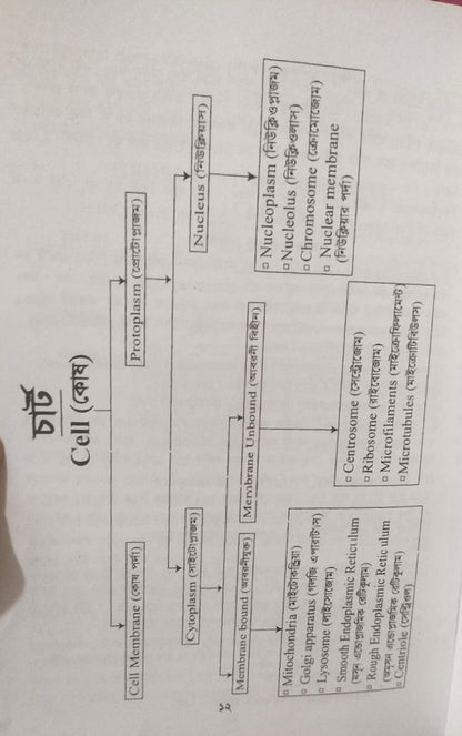 পল্লী ও ডিপ্লোমা এনাটমী এন্ড ফিজিওলজি