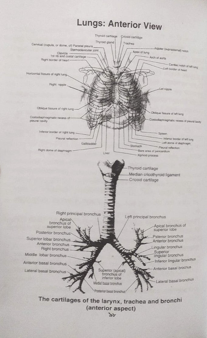 পল্লী ও ডিপ্লোমা এনাটমী এন্ড ফিজিওলজি