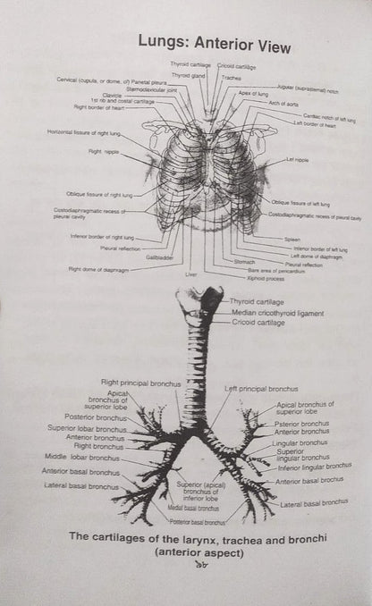 পল্লী ও ডিপ্লোমা এনাটমী এন্ড ফিজিওলজি