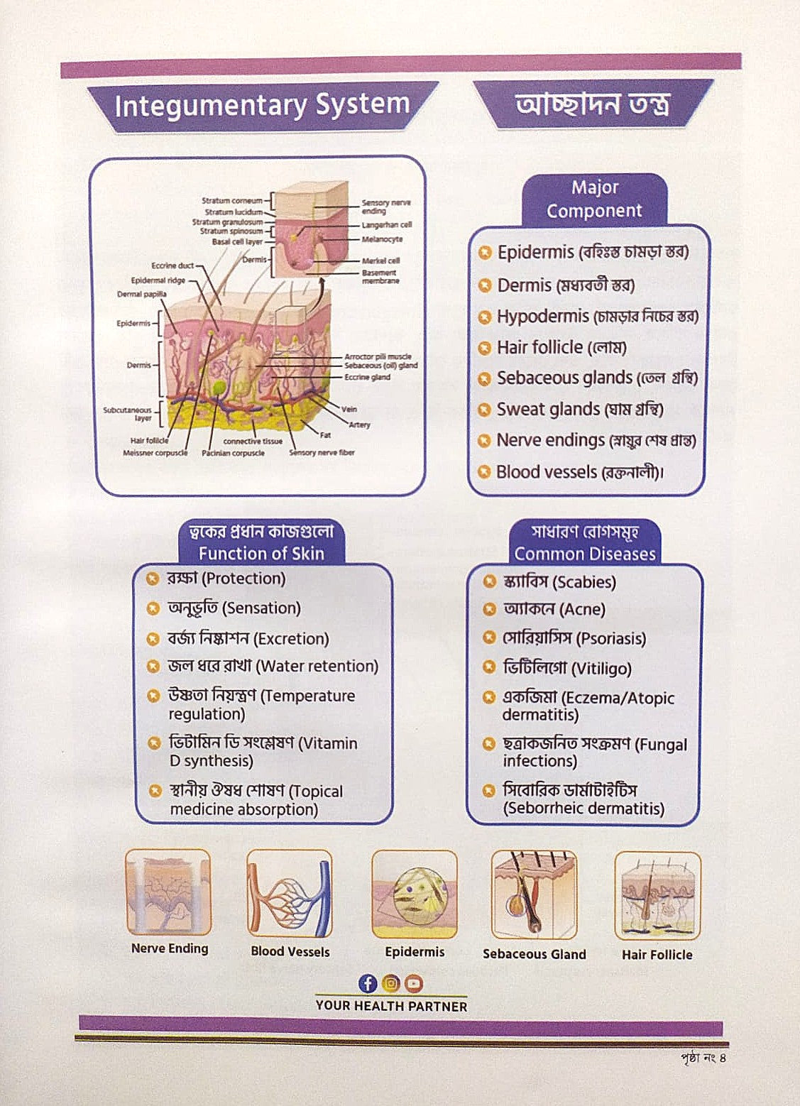 ক্লিনিক্যাল চর্মরোগ ও আধুনিক চিকিৎসা