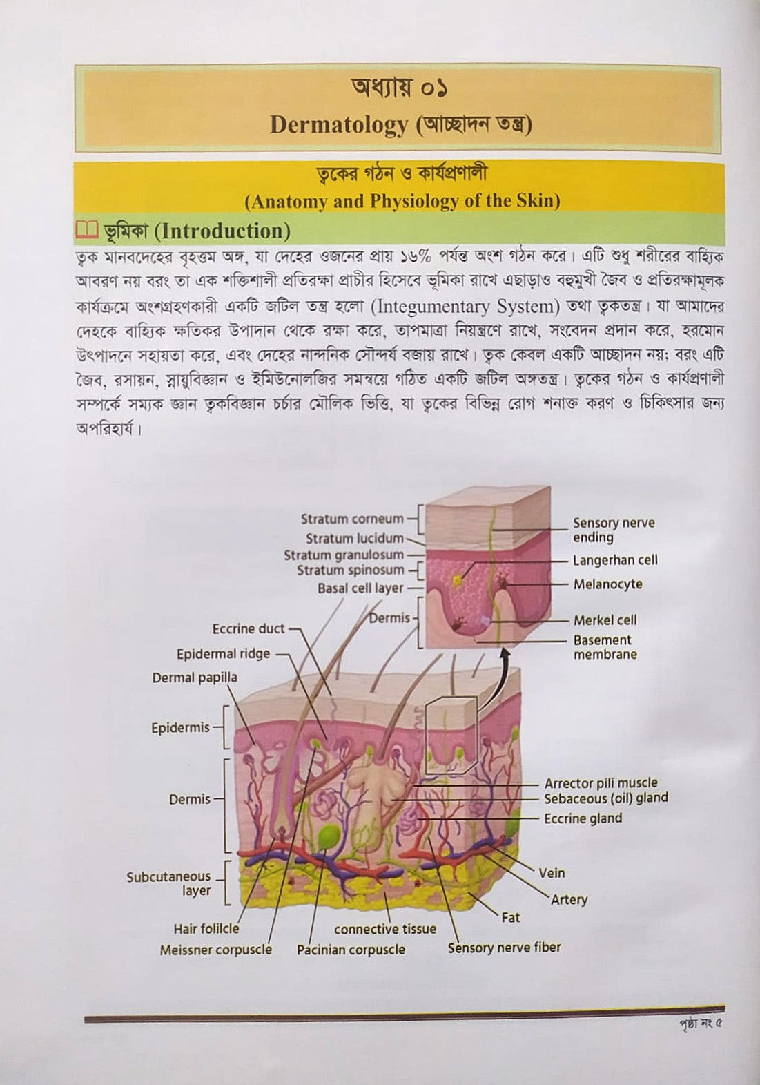 ক্লিনিক্যাল চর্মরোগ ও আধুনিক চিকিৎসা